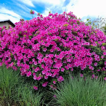 아파트 Casa Germana 인보리오인페리오레