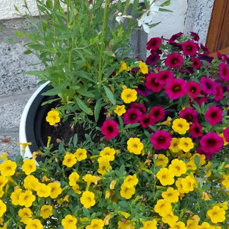 Casa Germana Apartamento *