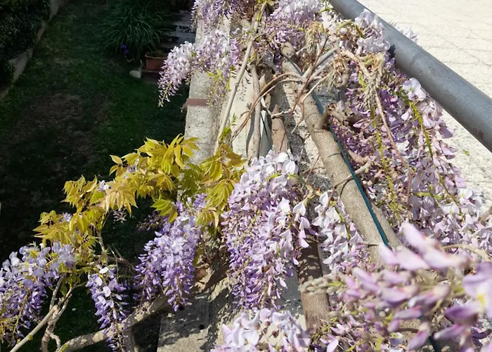 Apartman Casa Germana *